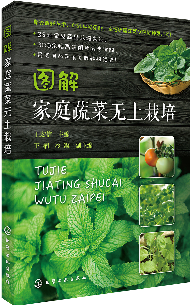图解家庭蔬菜无土栽培