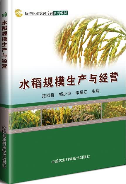 水稻规模生产与经营