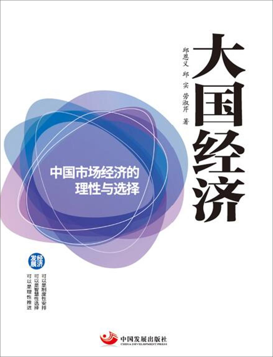 大国经济:中国市场经济的理性与选择
