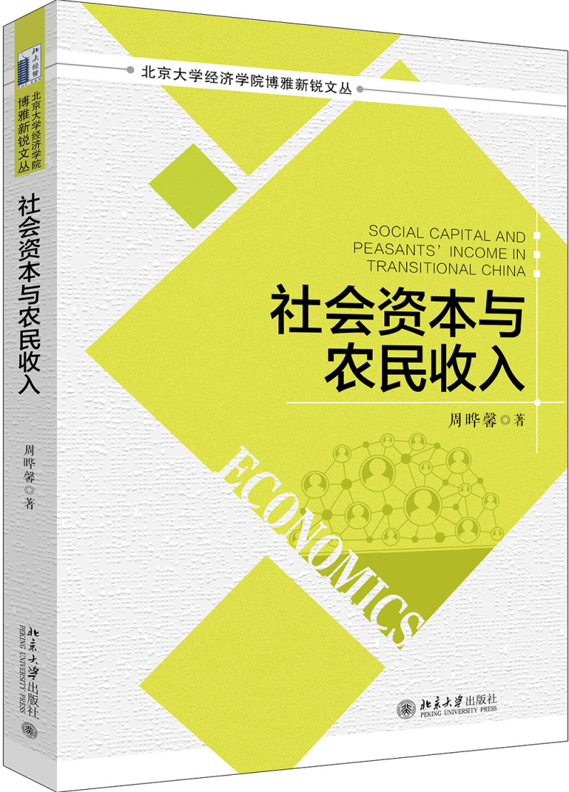 社会资本与农民收入