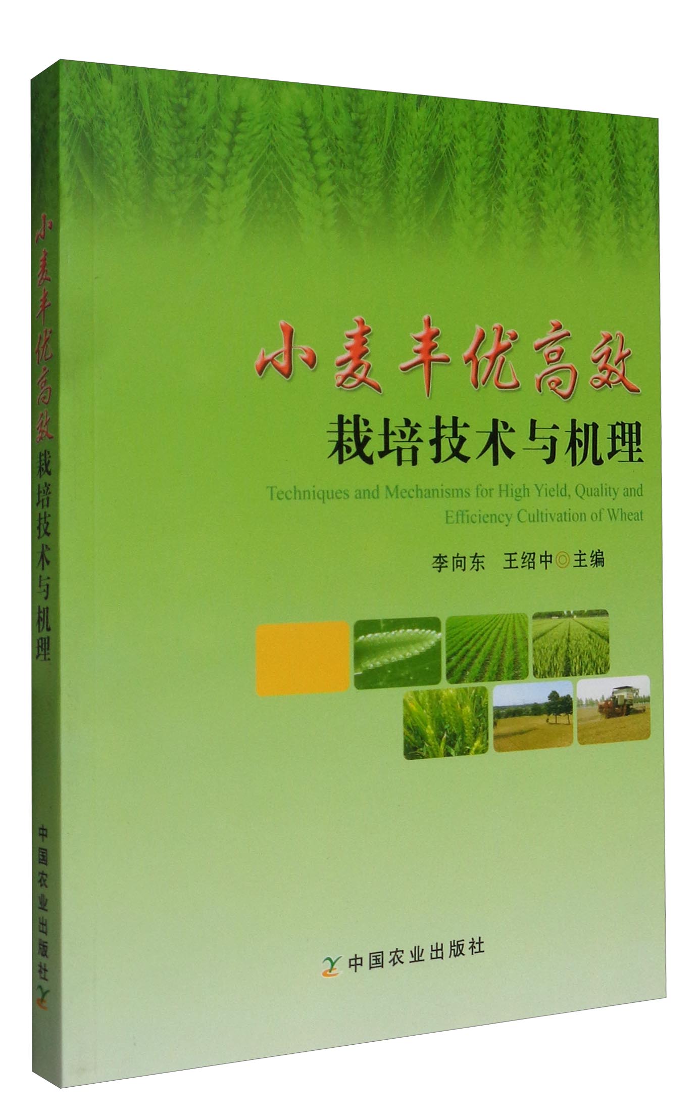 小麦丰优高效栽培技术与机理