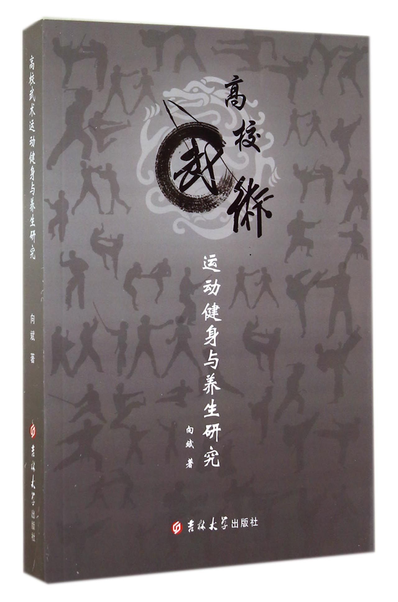 高校武术运动健身与养生研究