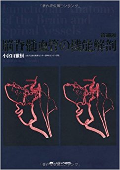 脳脊髄血管の機能解剖