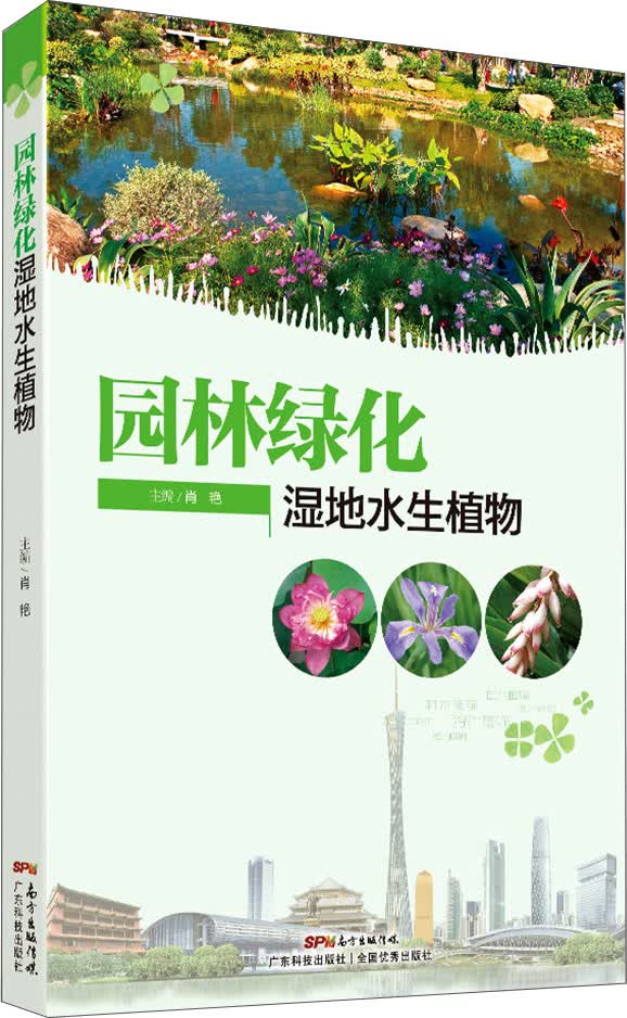 园林绿化湿地水生植物