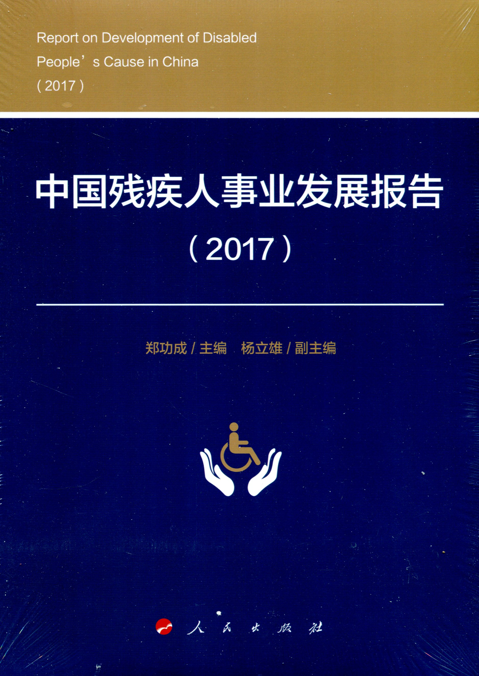 中国残疾人事业发展报告（2017）