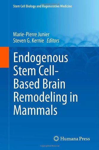 【预订】endogenous stem cell-based brain