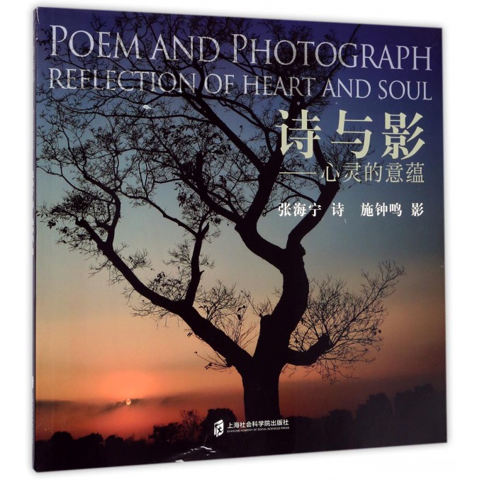 诗与影--心灵的意蕴