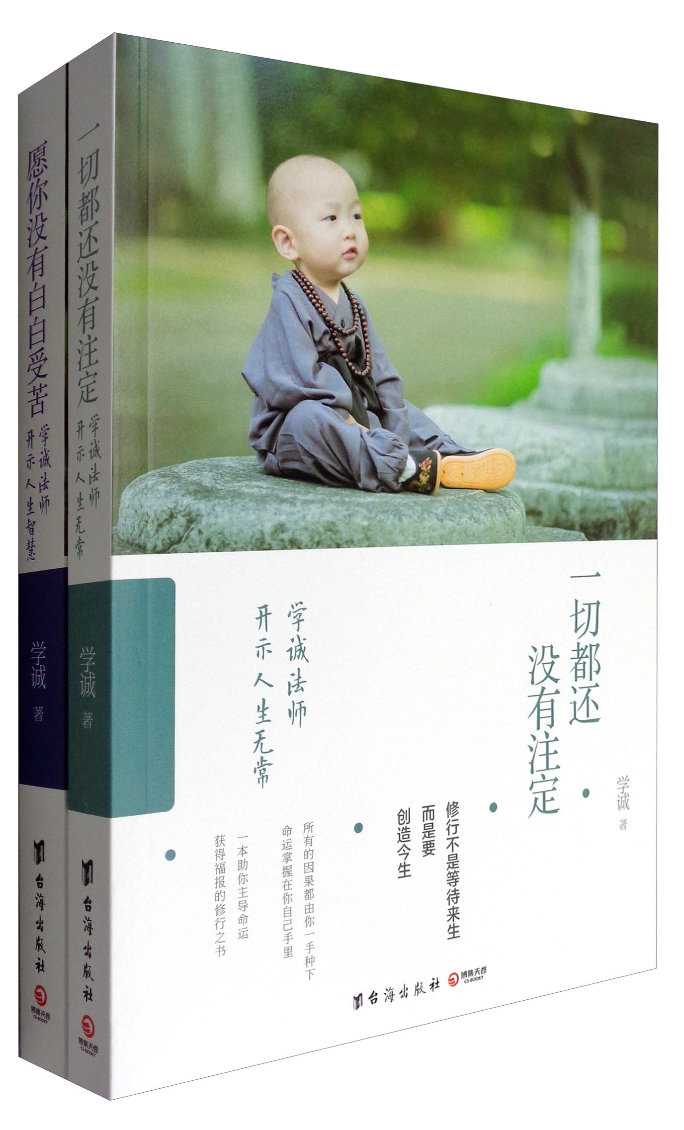 学诚法师开示人生：《愿你没有白白受苦》+《一切都还没有注定》（套装共2册）