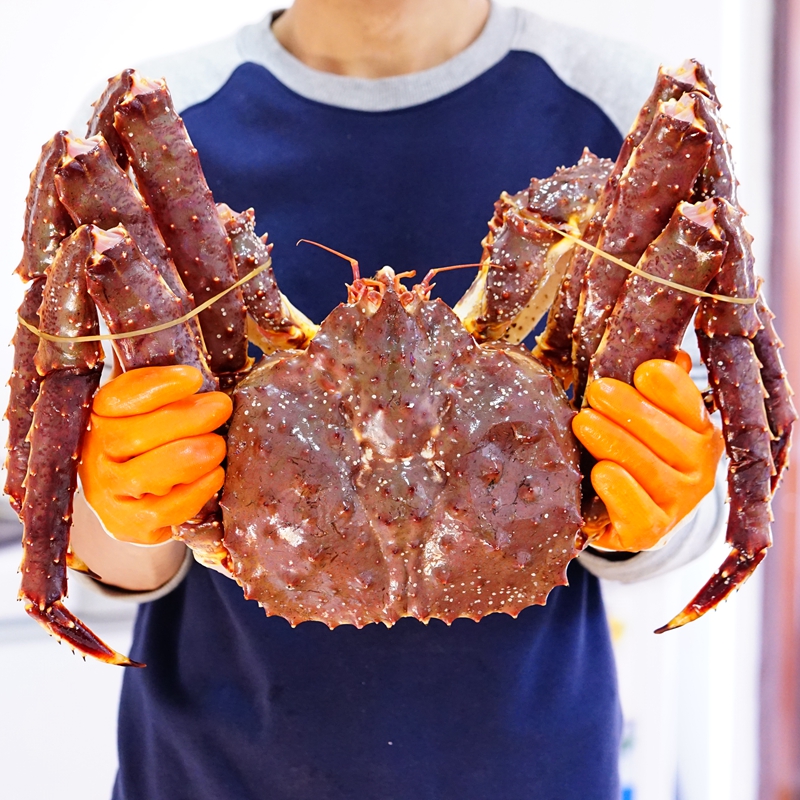 【活鲜】三座海 帝王蟹鲜活螃蟹阿拉斯加皇帝蟹海鲜 海鲜礼盒 年货礼盒 14-15斤/只