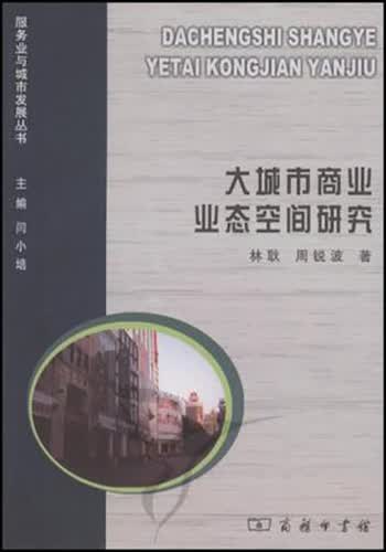 大城市商业业态空间研究