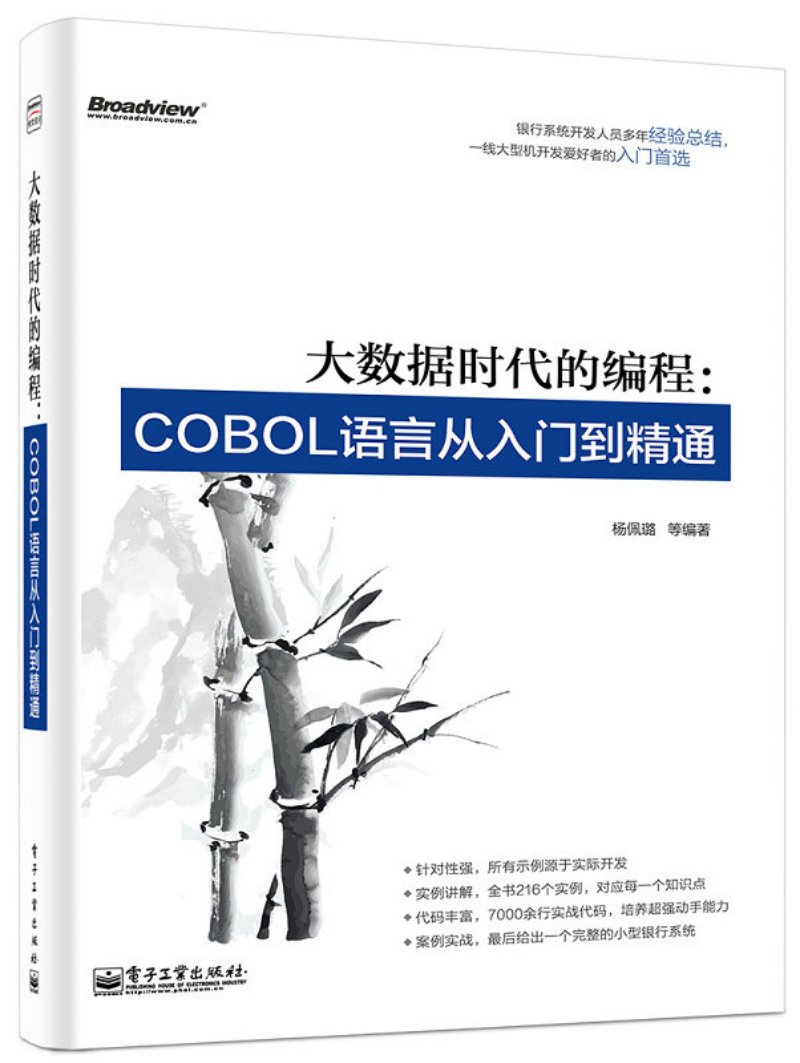 大数据时代的编程：COBOL语言从入门到精通(博文视点出品)