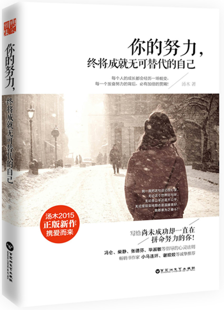 你的努力，终将成就无可替代的自己 汤木 青春励志文学书籍 心灵励志详情图