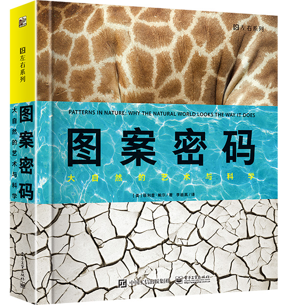 【正版书】图案密码  大自然的艺术与科学全彩