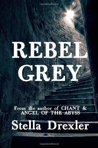 Rebel Grey: A Dystopian Tee