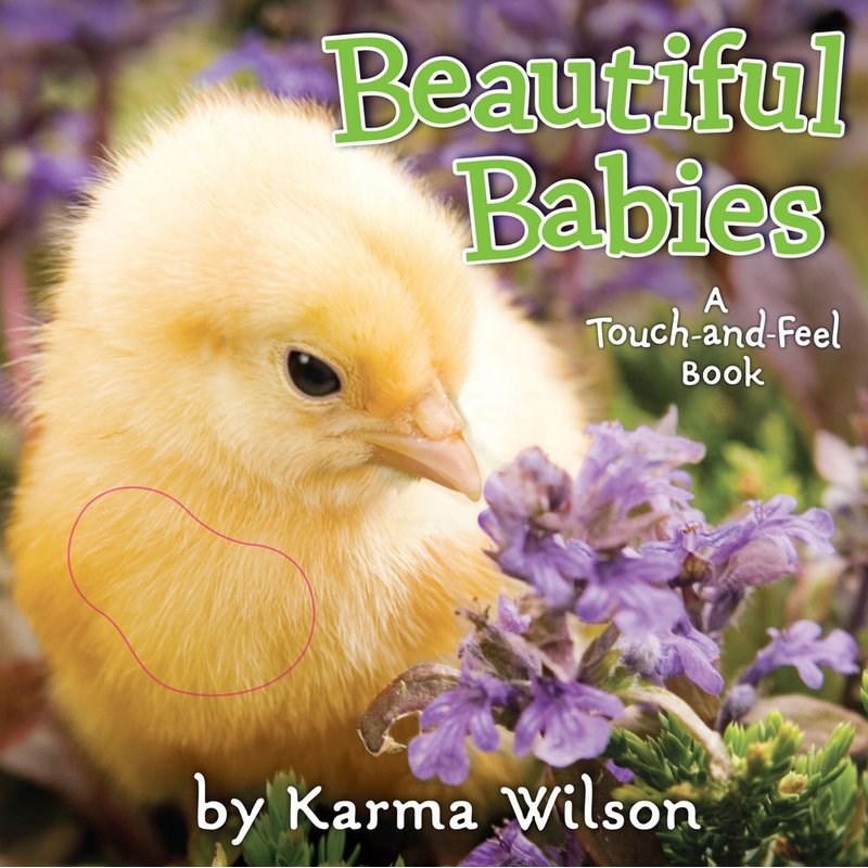 Beautiful Babies: A Touch-and-Feel Book [木板书]
