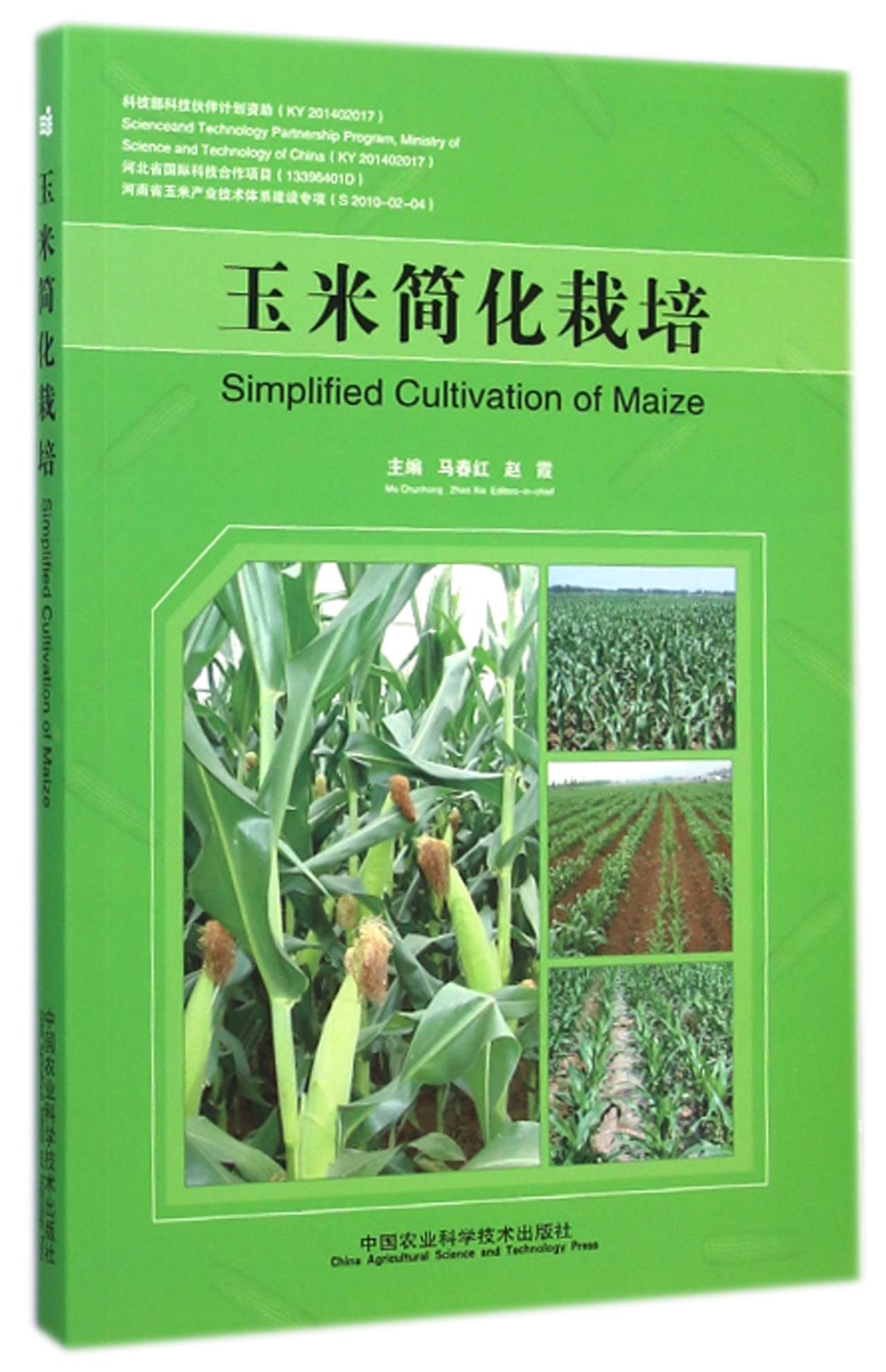 玉米简化栽培