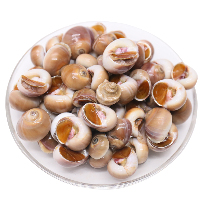 鲜之国 青岛鲜活小香螺 500g 红香螺