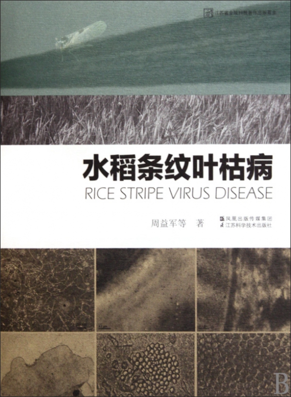 水稻条纹叶枯病(精)