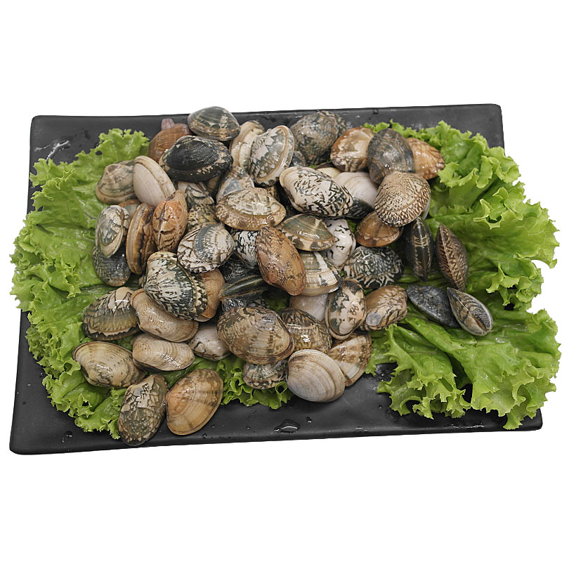 【活鲜】鲜之国 青岛鲜活蛤蜊 500g 包活 新鲜花甲 鲜活蚬子 4份免邮