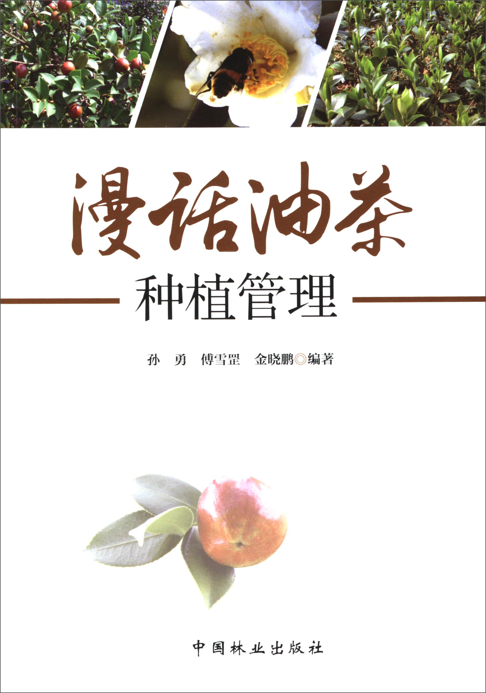 漫话油茶种植管理