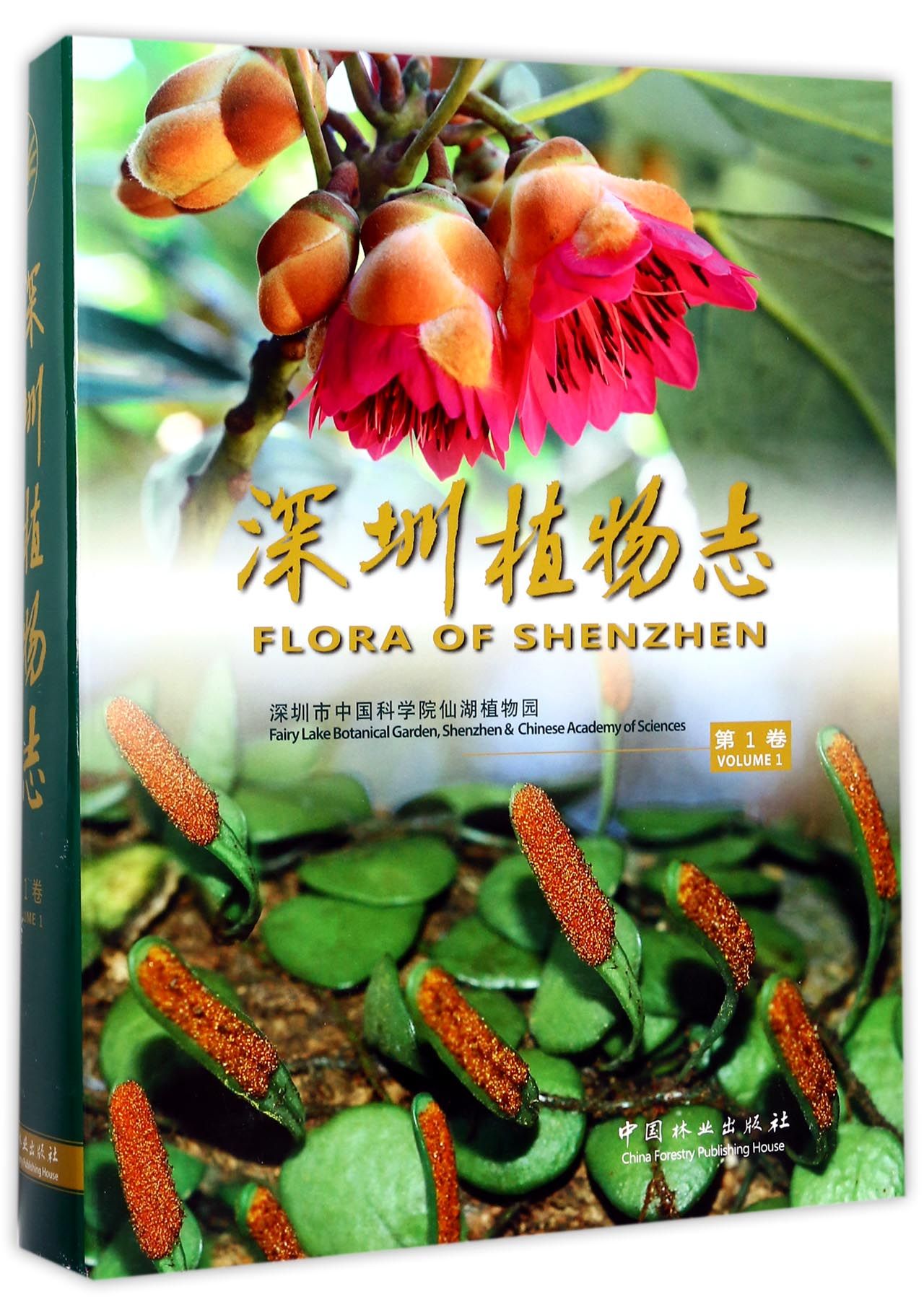 深圳植物志（第1卷）