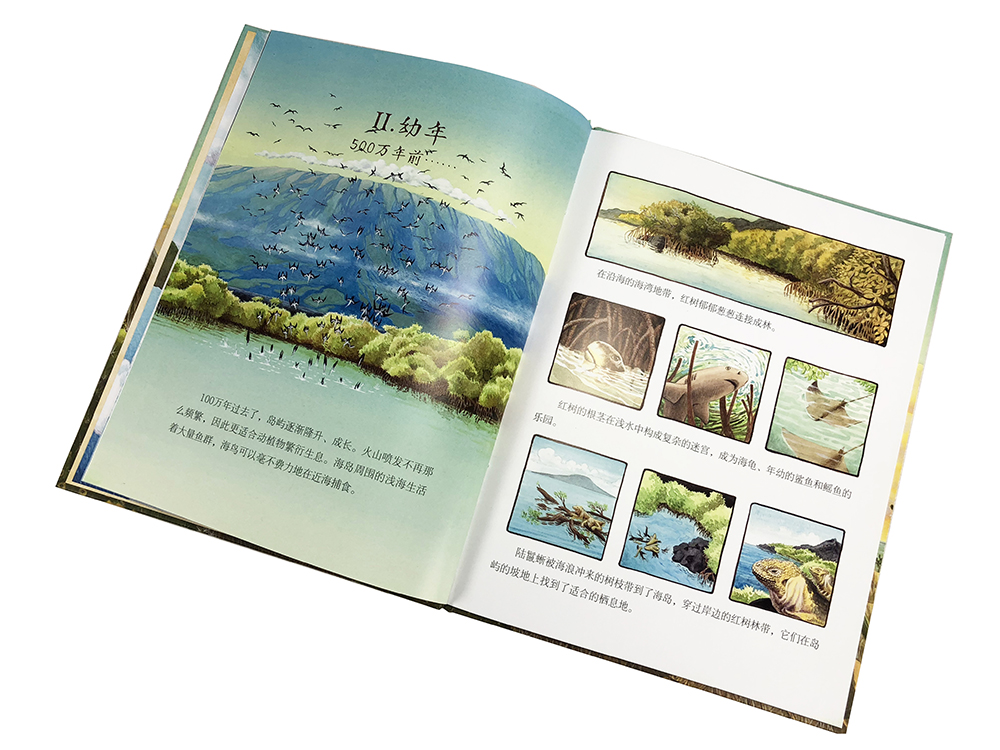 点读版 一座岛的600万年 加拉帕戈斯群岛的前世今生 精装硬壳书(绘本凯迪克获奖者作品3到6岁)暑假阅读暑假课外书课外暑假自主阅读暑期假期读物详情图