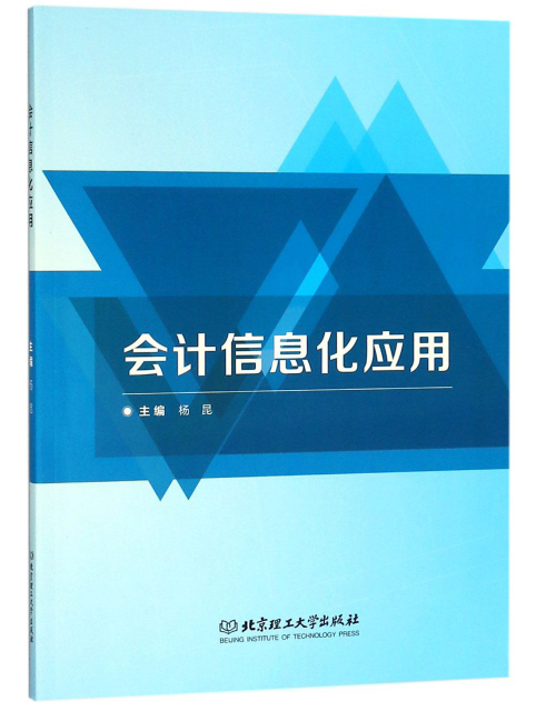 会计信息化应用
