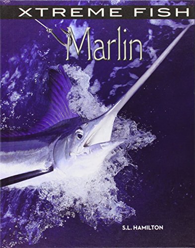 【预订】marlin