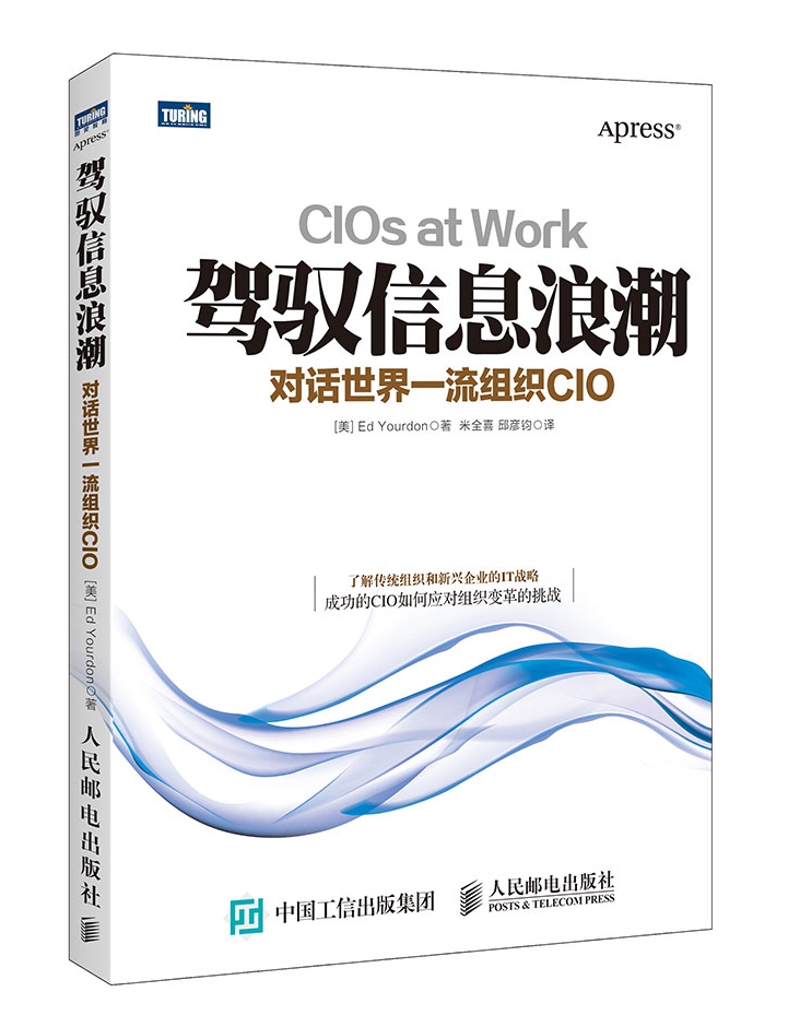 驾驭信息浪潮：对话世界一流组织CIO(图灵出品)
