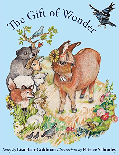 【预订】the gift of wonder