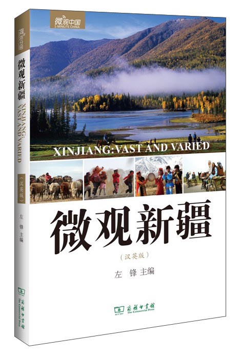 微观中国：微观新疆（汉英版）