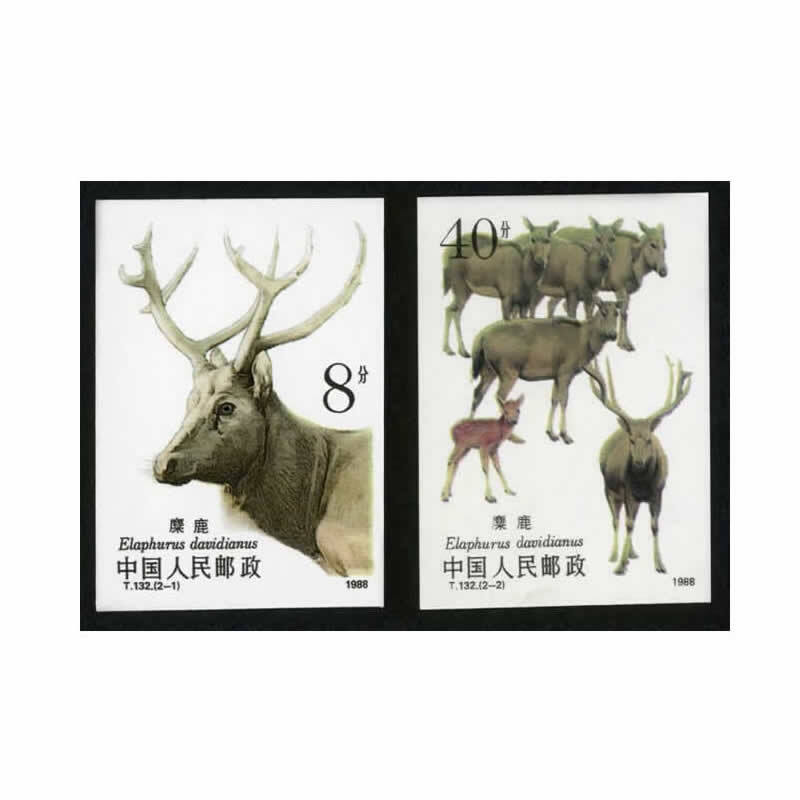 中邮典藏  t132 麋鹿无齿邮票 邮币