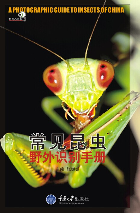 好奇心书系·野外识别手册：常见昆虫野外识别手册