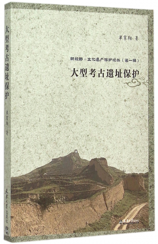 大型考古遗址保护/新视野文化遗产保护论丛