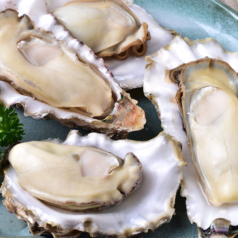 威海特产乳山生蚝