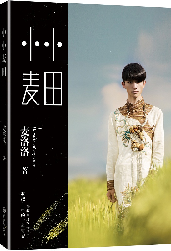 小小麦田 受争议的青年作家麦洛洛半自传式长篇小说 青春文学 书籍