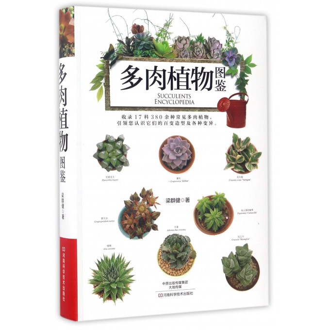 多肉植物图鉴