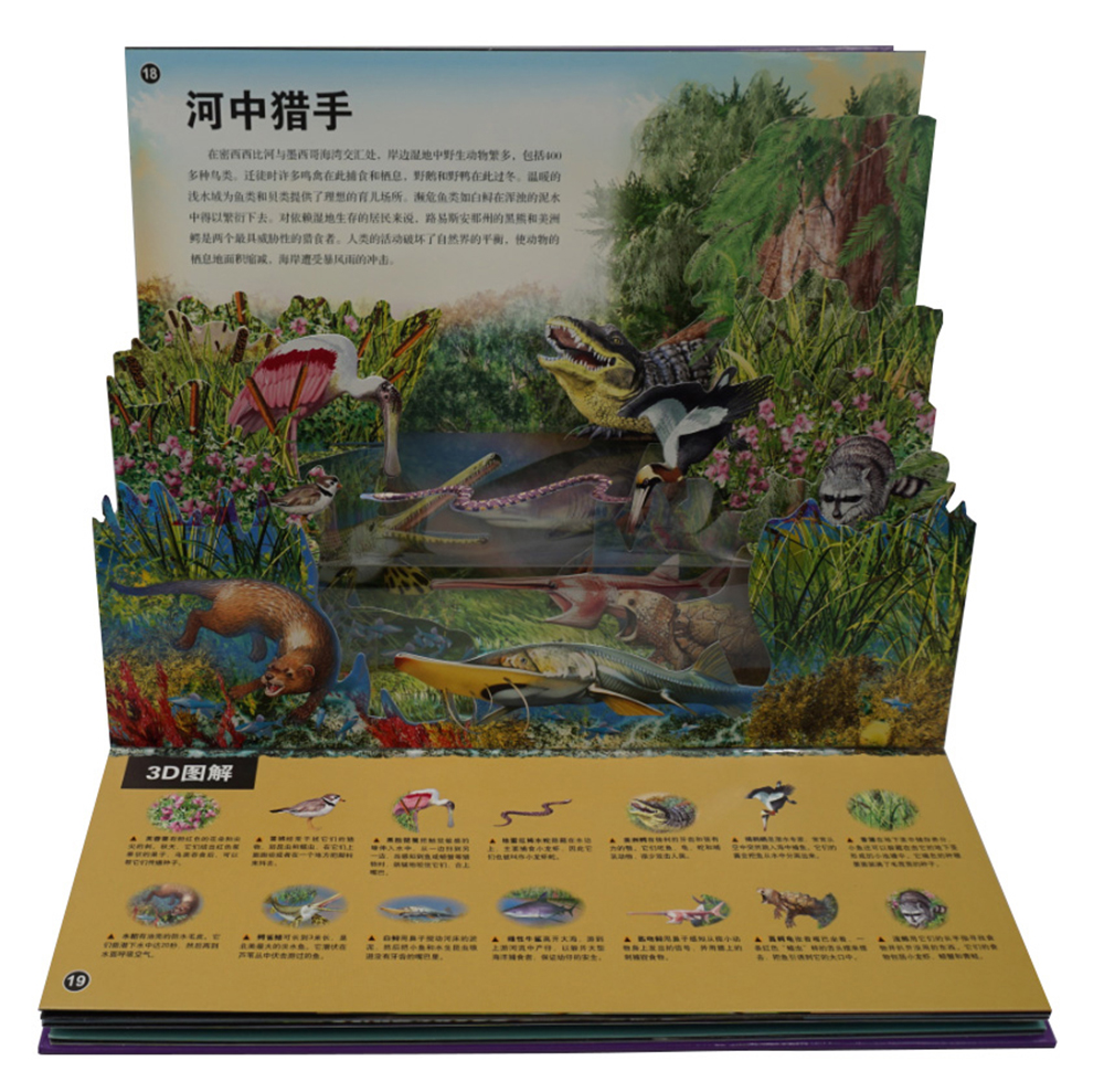肉食动物3d立体翻翻书(3-6-8-10岁以上青少年科普百科全书科学动物早教绘本图鉴小学生课外读物)详情图