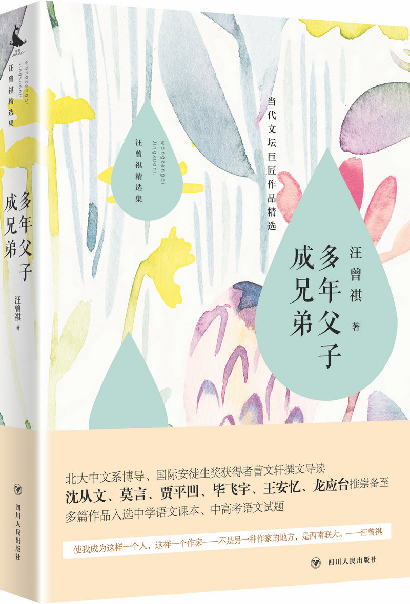 汪曾祺精选集：多年父子成兄弟