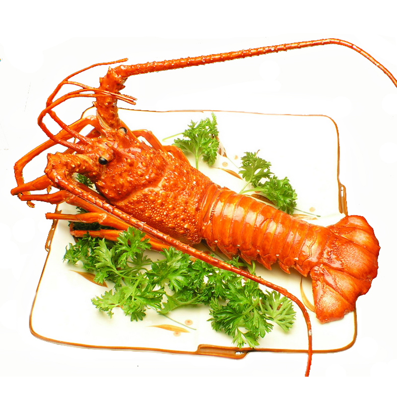 印尼冷冻青龙虾