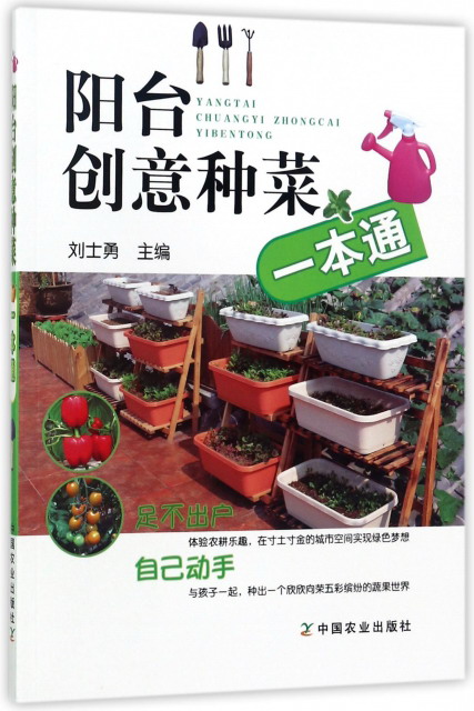 阳台创意种菜一本通