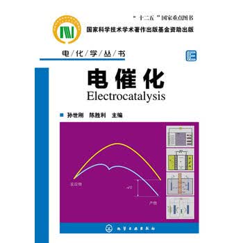 电化学丛书--电催化