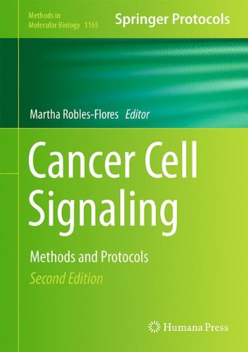 【预订】cancer cell signaling: methods and
