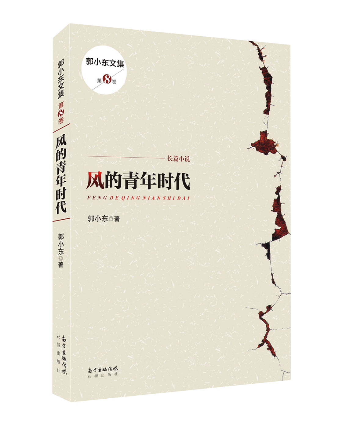 风的青年时代