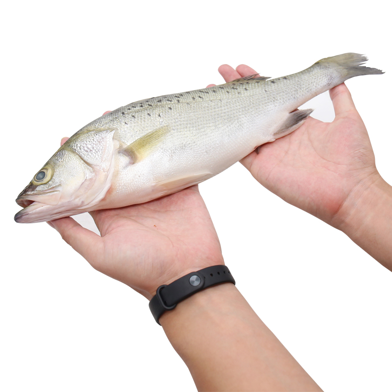 鲜之国 青岛冰鲜海鲈鱼 650g-750g 1条