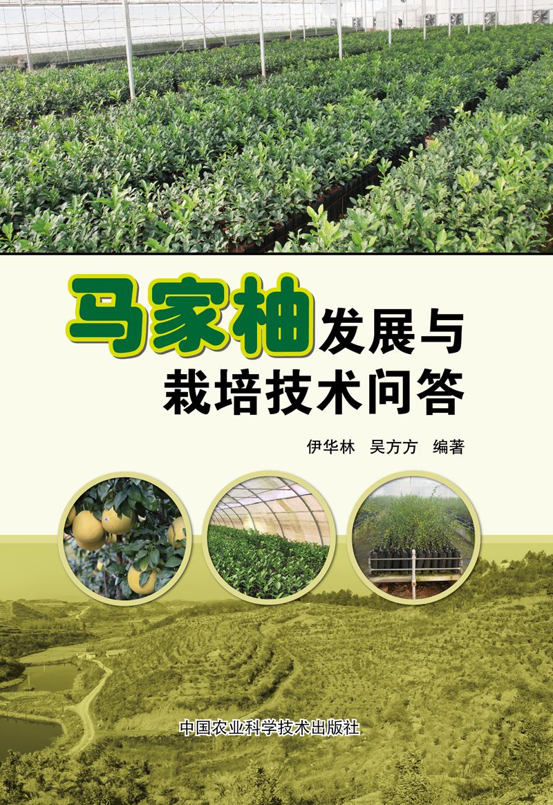 马家柚发展与栽培技术问答