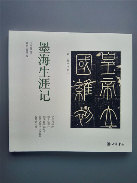 墨海生涯记--跟大师学书法