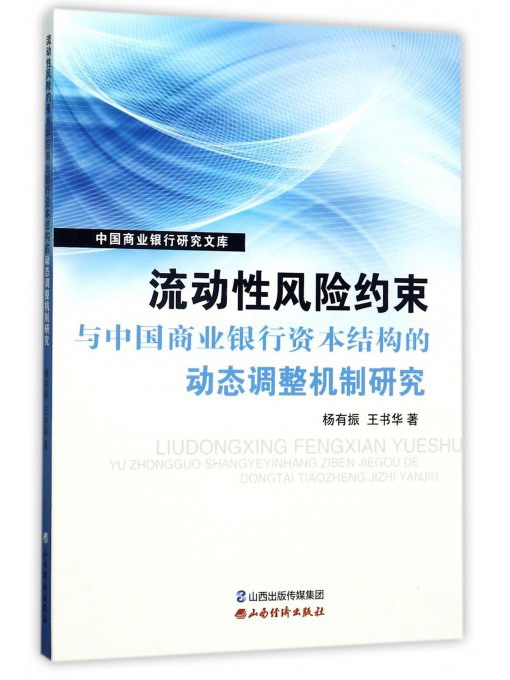 流动性风险约束与中国商业银行资本结构的动态调整机制研究 pdf格式下载