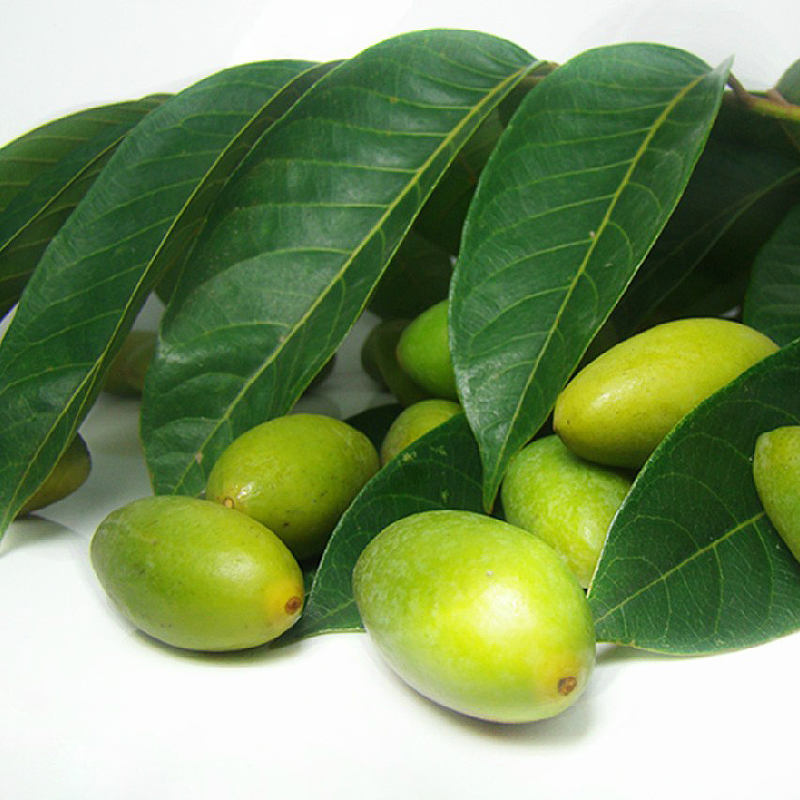 新鲜生橄榄青橄榄果新鲜青果圆头青橄榄两头尖梭子尖子橄榄 两头尖