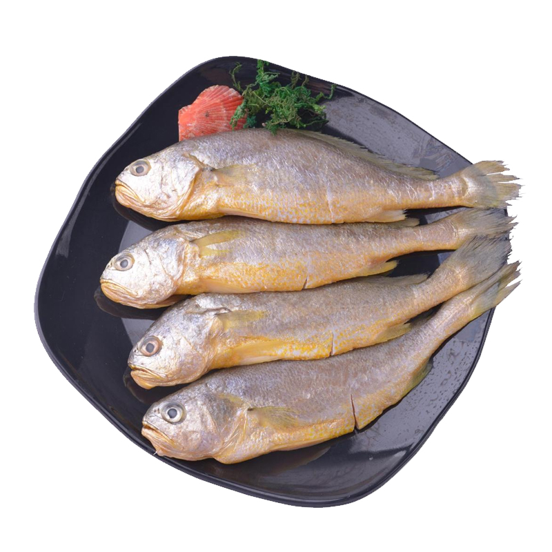 鲜之国 青岛冰鲜小黄花鱼约500g 10-12条 新鲜鱼